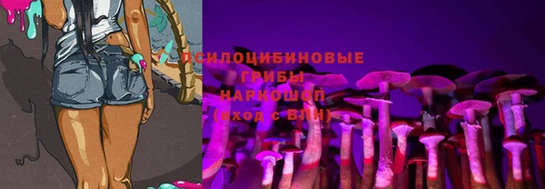 прущие грибы Сосновка