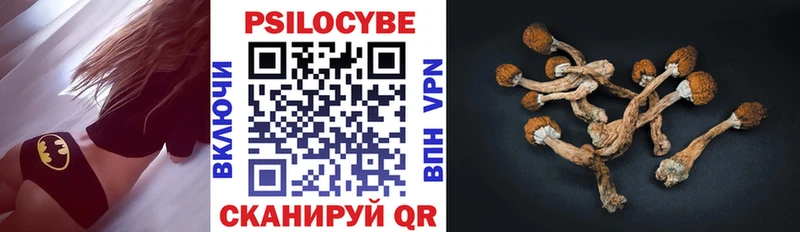 Галлюциногенные грибы Cubensis  Туринск 