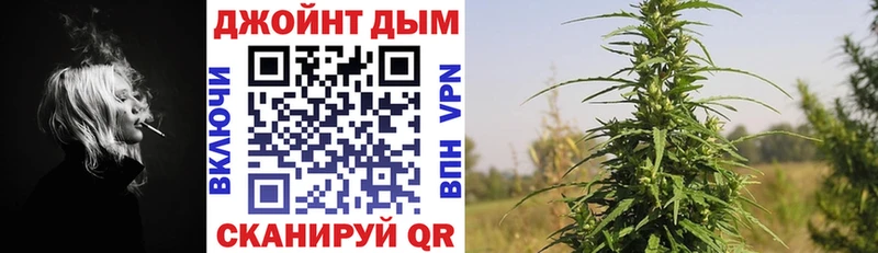 Бошки марихуана планчик  купить   Туринск 